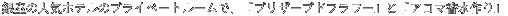 ]ł㎿ԂŁAuvU[uht[vƁuCi[r[eB[v
